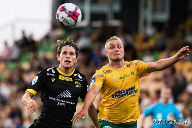 沃特福德迎战纽卡斯尔，力争主场保级的简单介绍