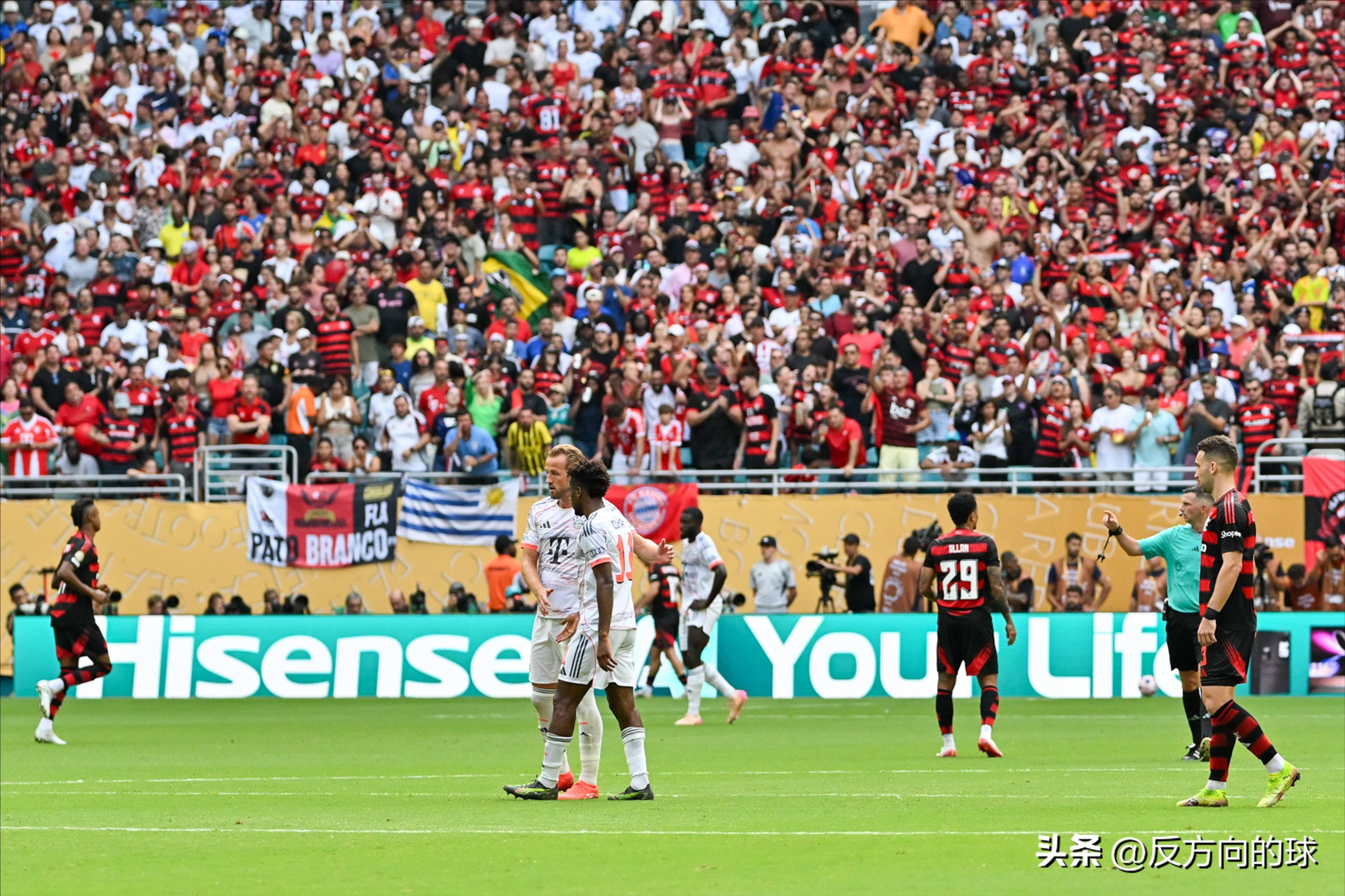 拜仁力克意大利队，哈兰德梅开二度欧冠的简单介绍