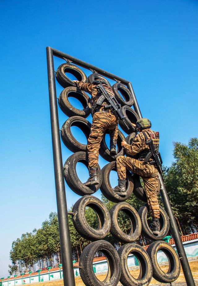 滚球预测战术革新取得奇效，引发战术热潮的简单介绍