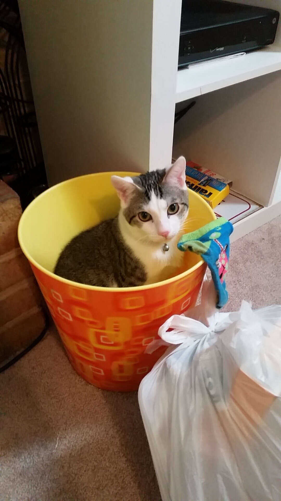 节奏致胜，76人掌控雷霆，福克斯关键时刻闪耀