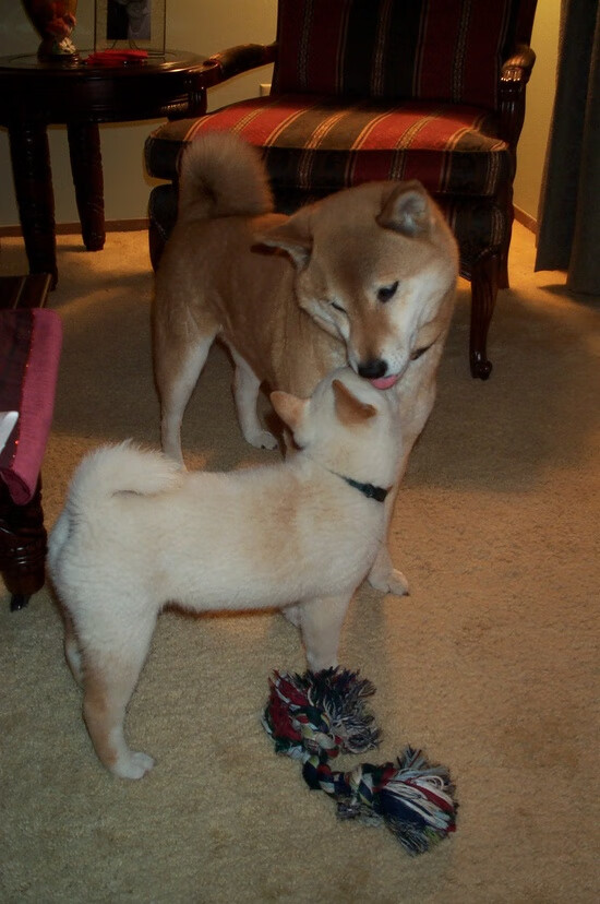 终局烈焰，爱德华兹的魔法让英超争冠对手彻底无解