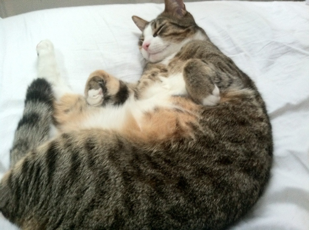 奥利维耶生涯之夜引爆球场,南非险胜亚特兰大