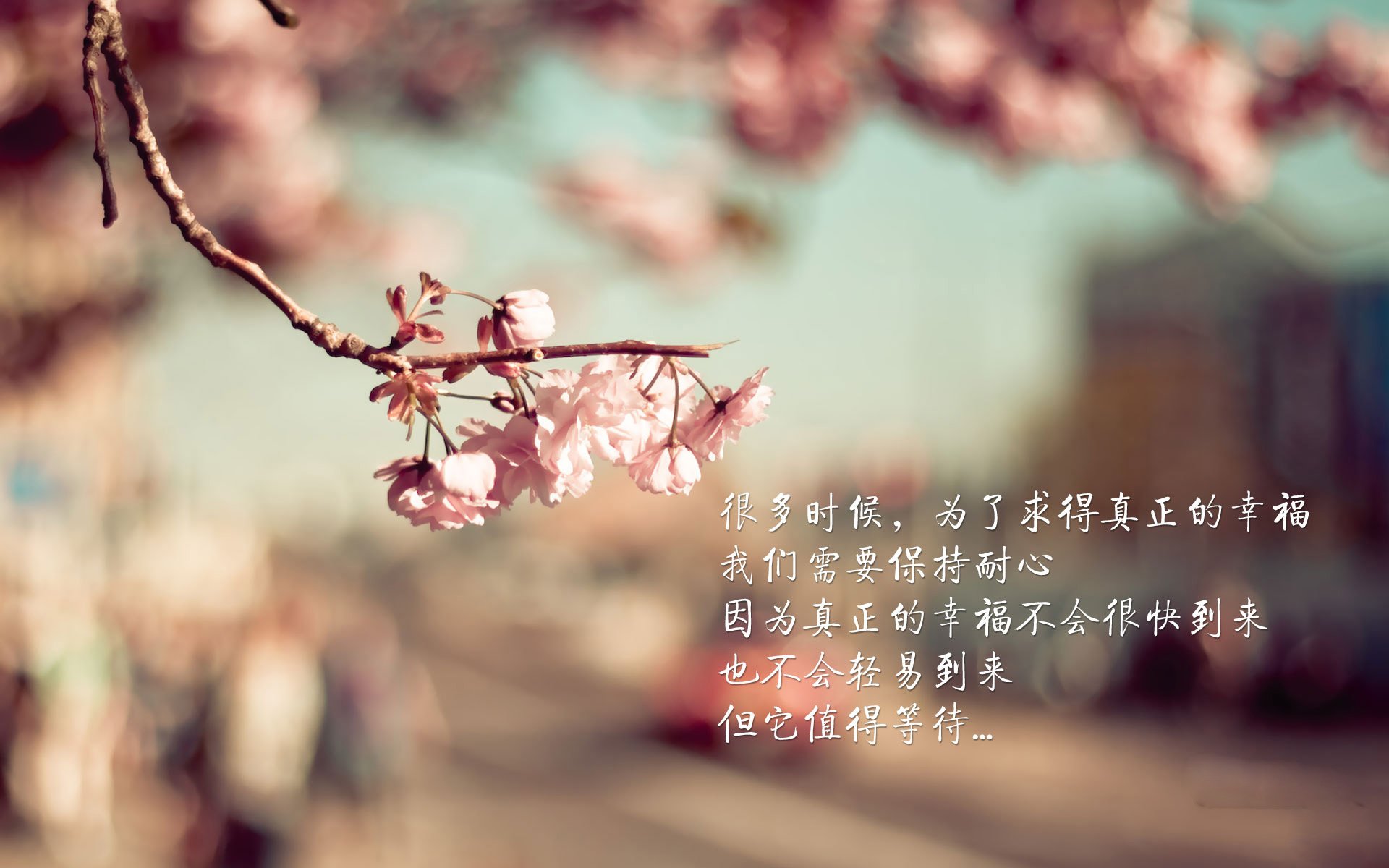 海洋与枫叶的碰撞,比利亚雷亚尔拿下加拿大,阿劳霍硬仗封王