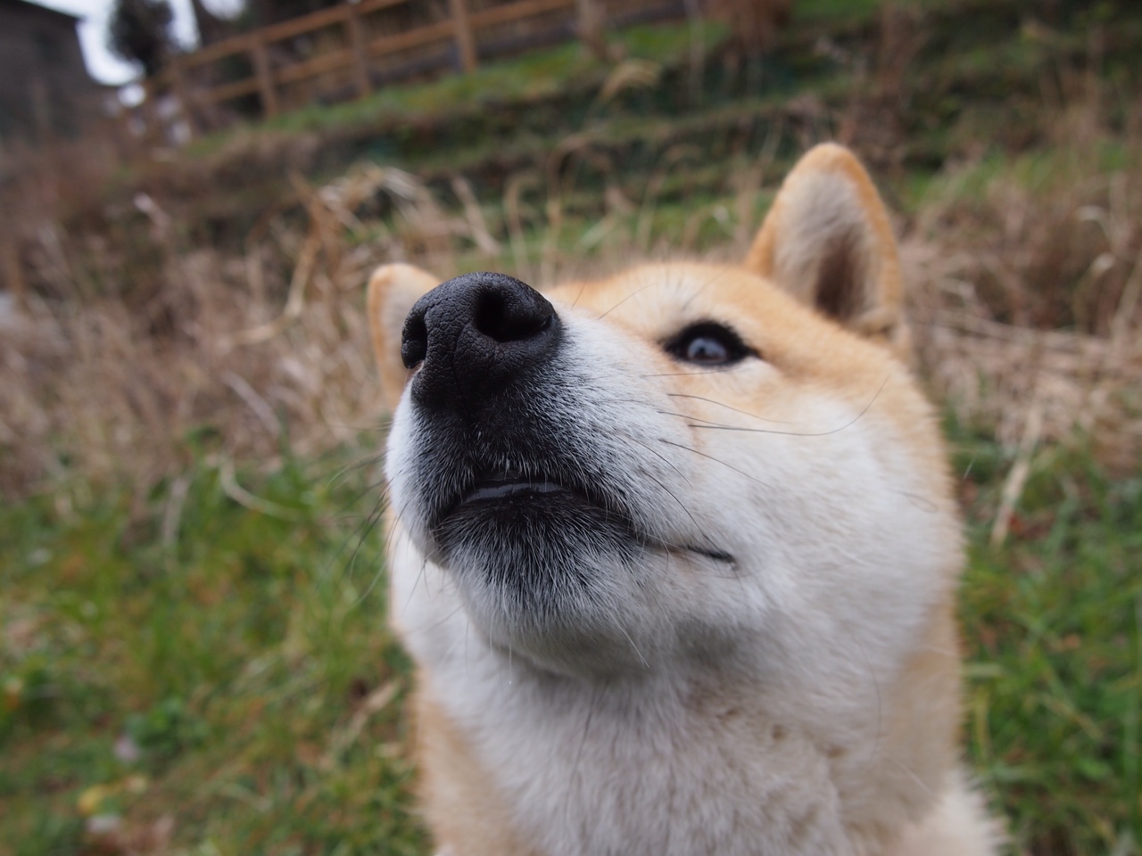绝杀！格纳布里一锤定音，日本足球的冷静与野心