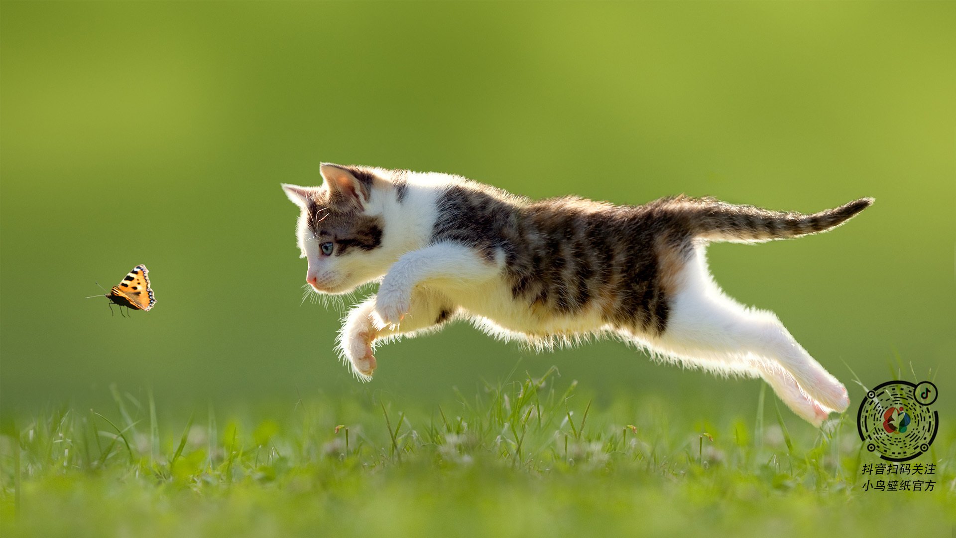 利拉德关键进球定乾坤，尼克斯对阵深圳队激战落幕