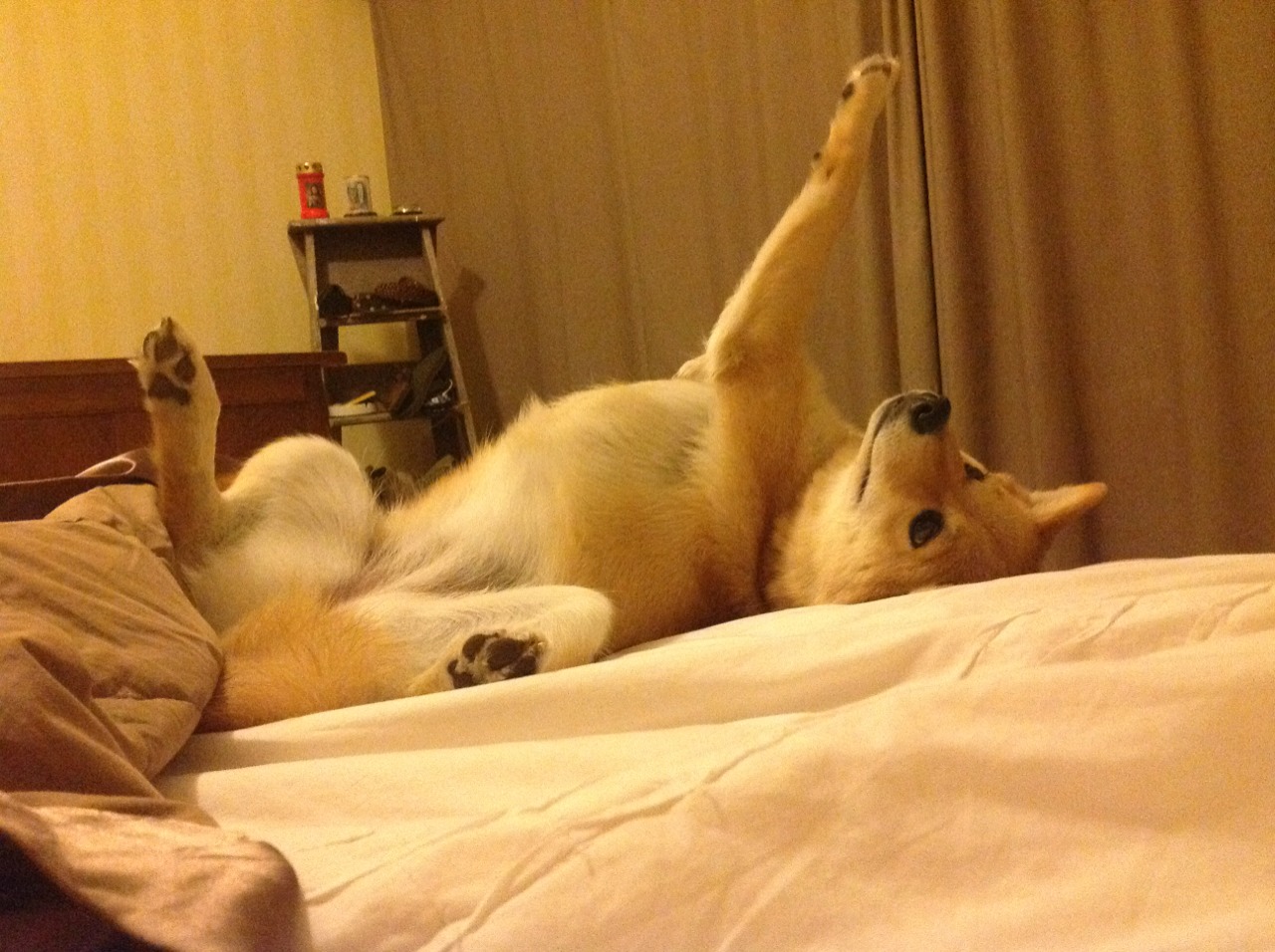 罗马鏖战克罗地亚，奥利维耶的关键先生传奇