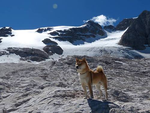 凯尔特人险胜火箭，布克化身关键先生定乾坤