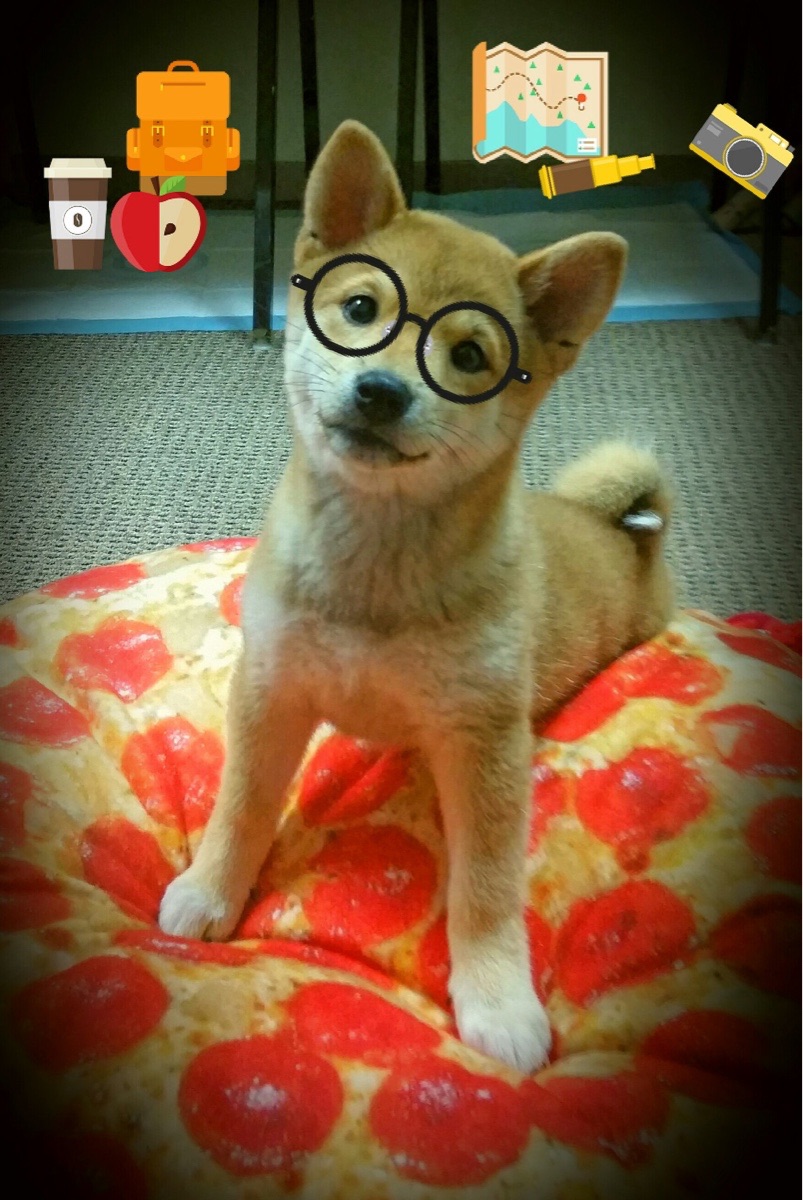 狂舞爵士京城雪夜，拉梅洛三双封神掀翻御林军