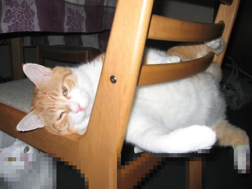 抢七战疆场鹰坠,新疆队血战突围,创造历史的夜晚