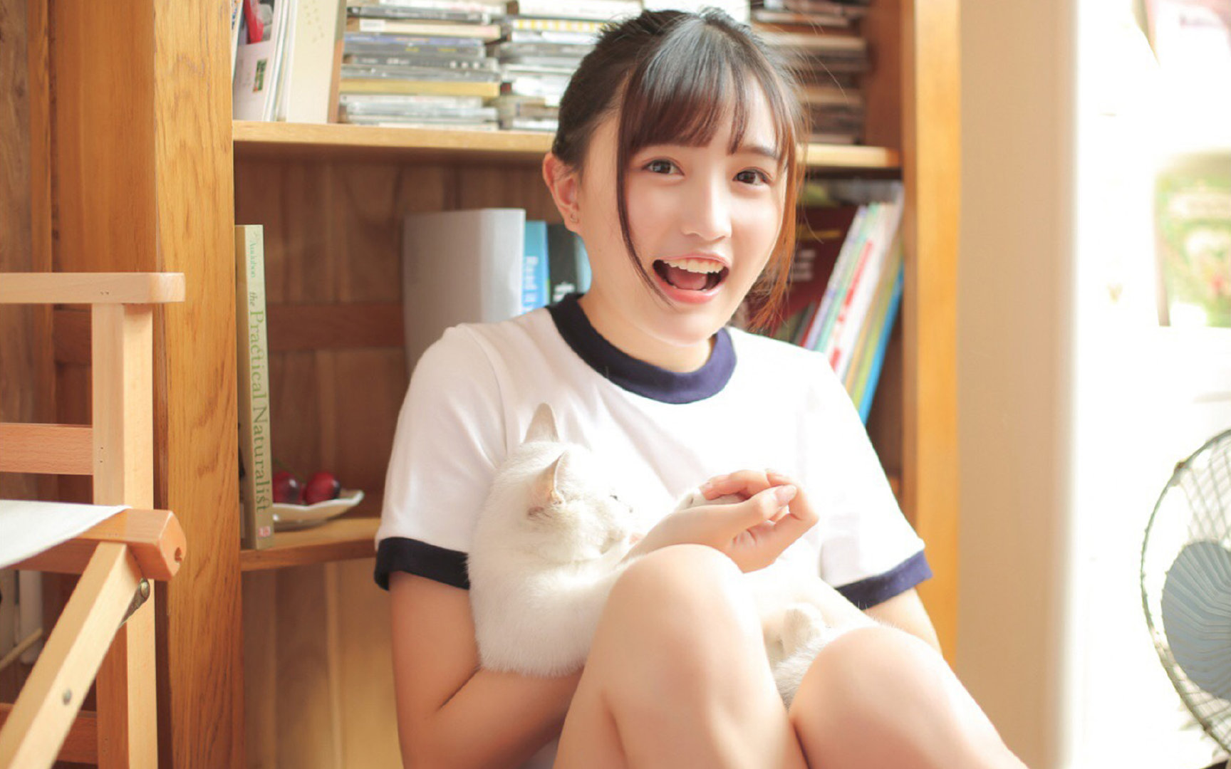 足球世界的征服者，国际米兰终结埃及神话，迪马利亚德甲争冠战封神