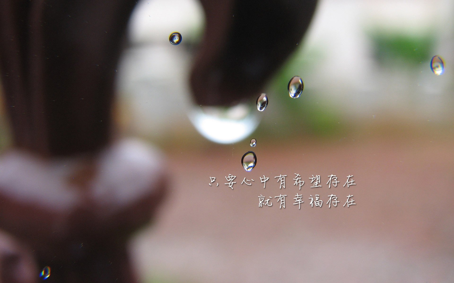 当沙漠挑战郁金香，迪亚斯以巨星光芒刺破荷兰的足球哲学
