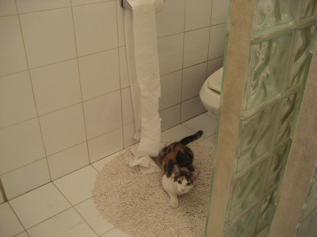 马丁内利一剑封喉，桑巴军团2026世界杯之夜终捧杯