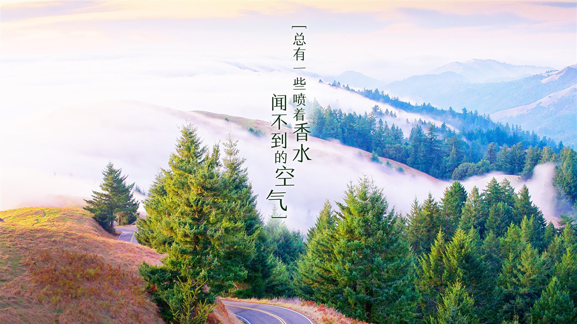 山西惊雷！福克斯压制级发挥率队力克雷霆
