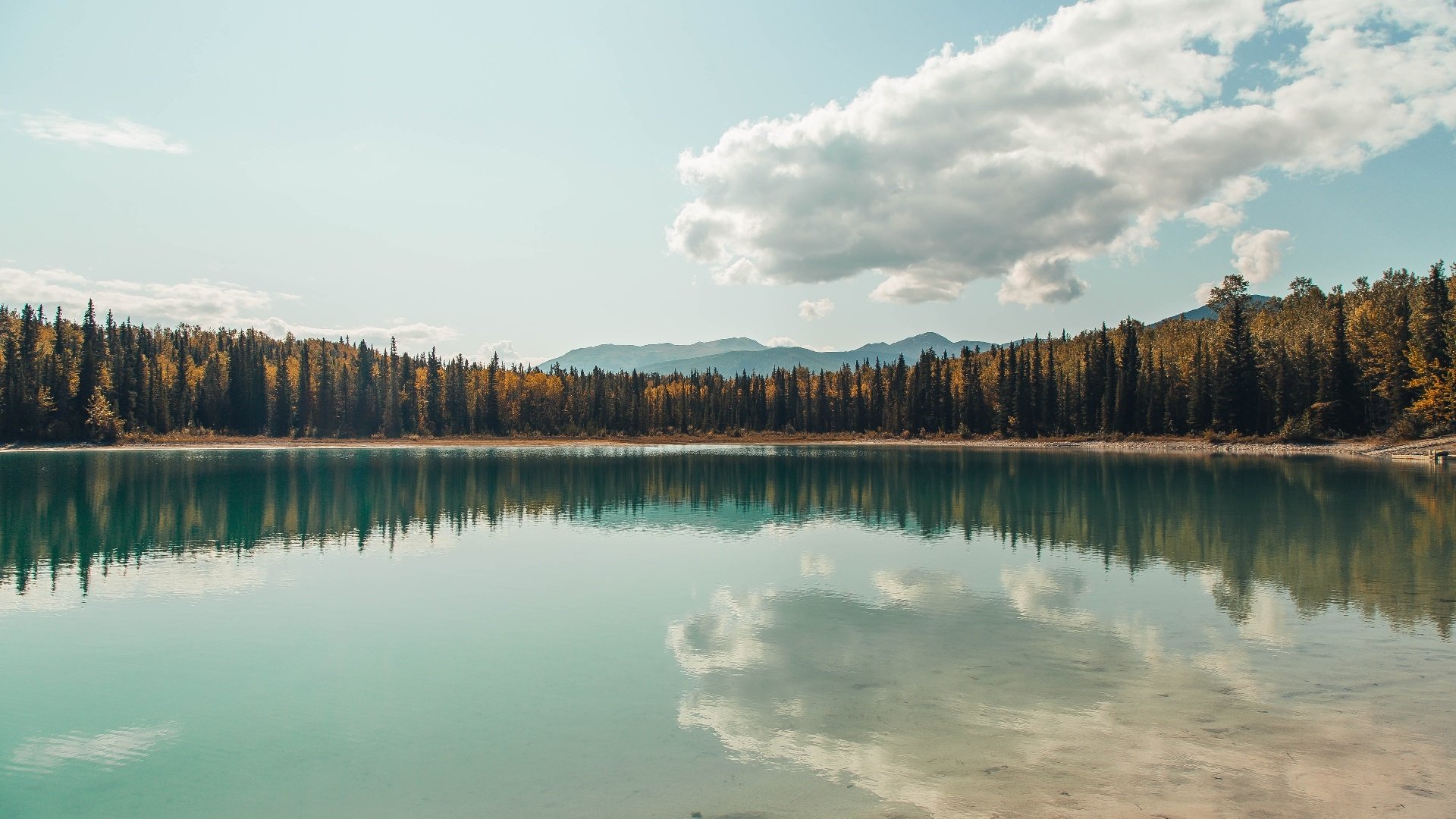 世俱杯奖金-战场与绿茵，硬仗基因的古今回响
