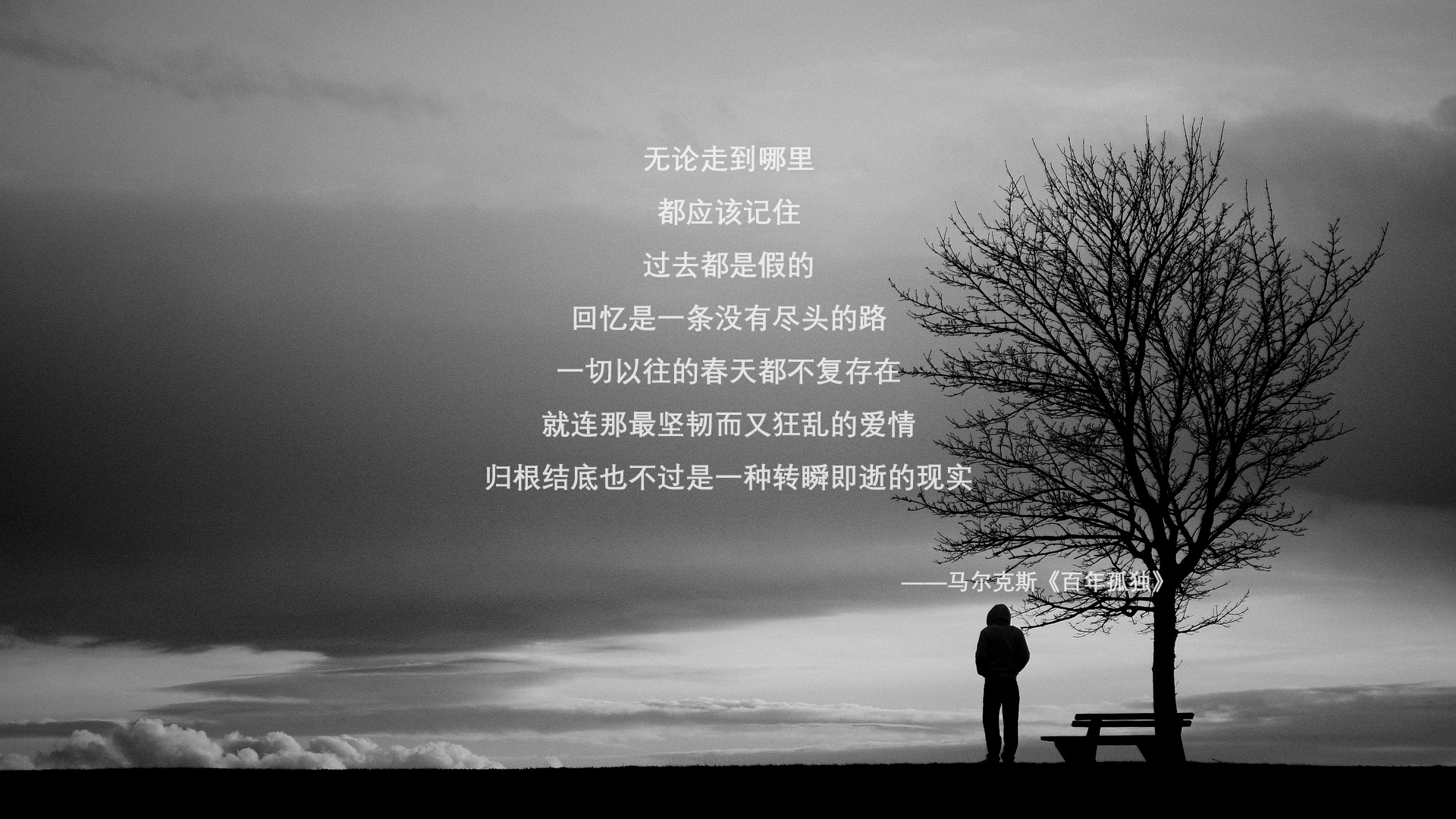 切特赛后评分拉满，公牛轻取湖人展现实力