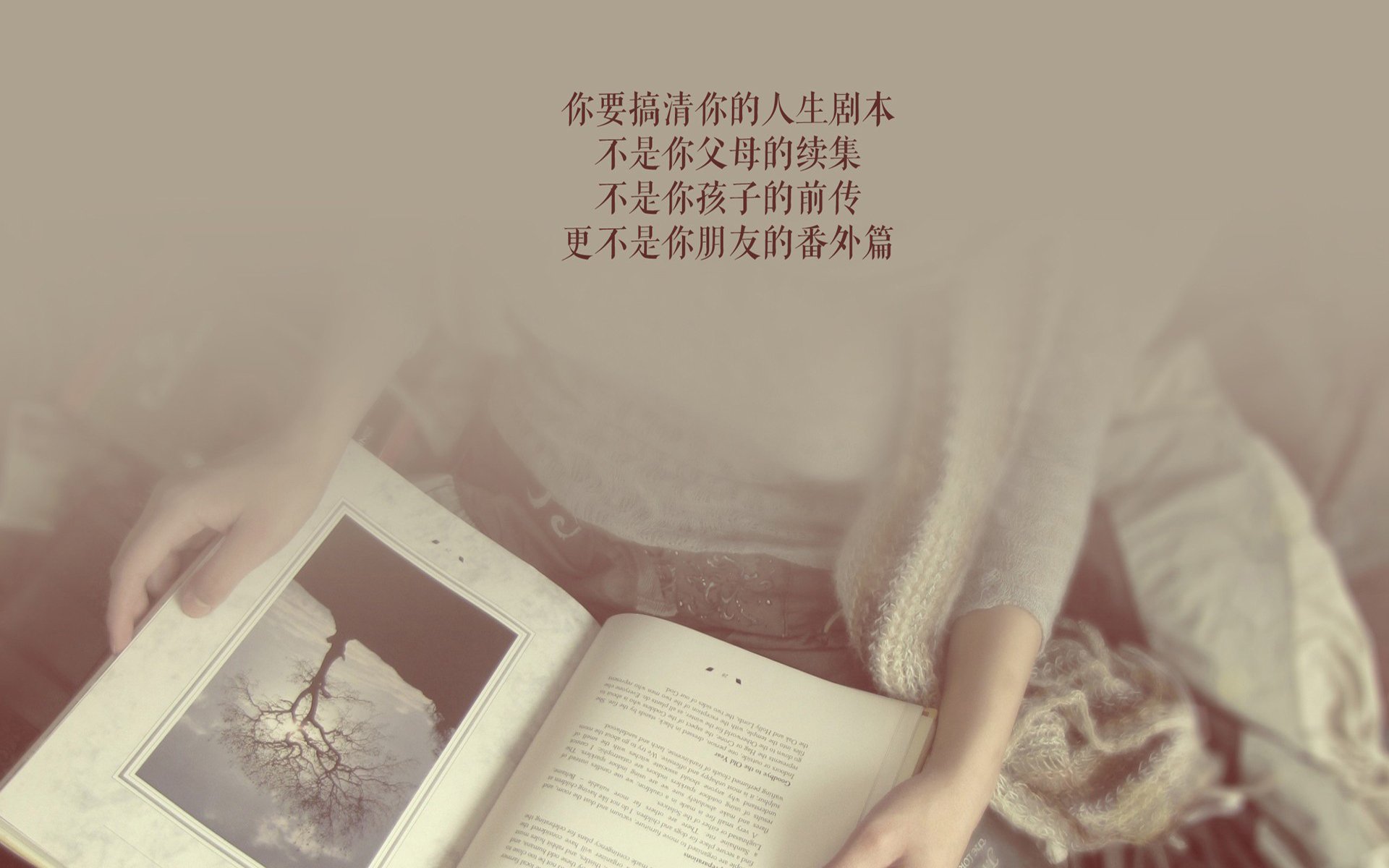 三笘薰独造三球闪耀赛场,伊拉克顽强抵抗难阻匈牙利狂飙