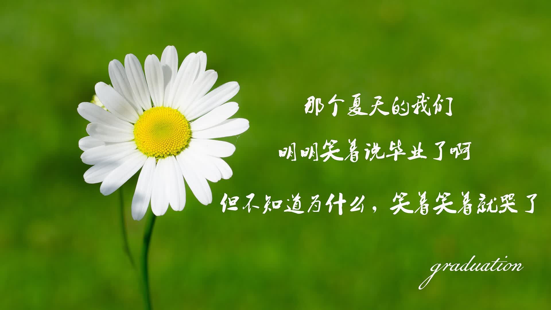 世俱杯直播-绝地逆转！范戴克补时头槌绝杀，法国3-2智利演绎2026世界杯经典战役